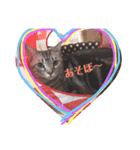 むーーうーた（個別スタンプ：6）