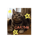 むーーうーた（個別スタンプ：8）