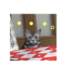 むーーうーた（個別スタンプ：16）