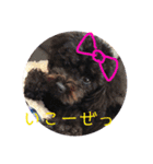 家族シリーズ1（個別スタンプ：2）