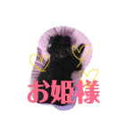 家族シリーズ1（個別スタンプ：8）