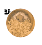 ハムスターぽんぽこ（個別スタンプ：22）