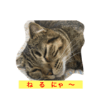 パンプスタンプ（個別スタンプ：1）