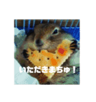 デカ猫クゥさん2（個別スタンプ：4）