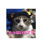 デカ猫クゥさん2（個別スタンプ：12）