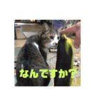 デカ猫クゥさん2（個別スタンプ：24）