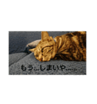 愛猫の独り言（笑）（個別スタンプ：8）