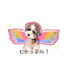 てるてるてるミー（個別スタンプ：3）