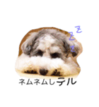 てるてるてるミー（個別スタンプ：5）