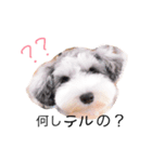 てるてるてるミー（個別スタンプ：6）