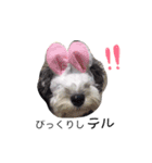 てるてるてるミー（個別スタンプ：13）