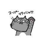 おつかいキャット stamp（個別スタンプ：3）