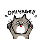 おつかいキャット stamp（個別スタンプ：15）