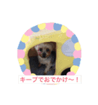 うぃん ほい（個別スタンプ：10）