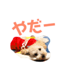 大五郎と富実子と仲間たち 第2版（個別スタンプ：8）