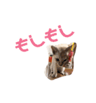大五郎と富実子と仲間たち 第2版（個別スタンプ：15）