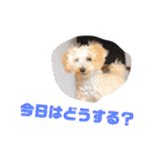 大五郎と富実子と仲間たち 第2版（個別スタンプ：20）