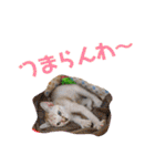 大五郎と富実子と仲間たち 第2版（個別スタンプ：22）