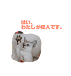 大五郎と富実子と仲間たち 第2版（個別スタンプ：25）