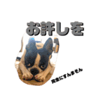 大五郎と富実子と仲間たち 第2版（個別スタンプ：34）
