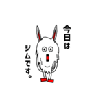 カチーナさん（v2.0）（個別スタンプ：19）
