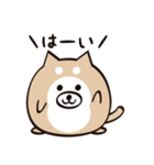 まるいぬくん（個別スタンプ：1）