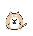 まるいぬくん（個別スタンプ：7）