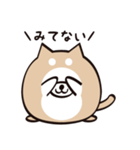 まるいぬくん（個別スタンプ：9）