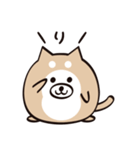 まるいぬくん（個別スタンプ：15）