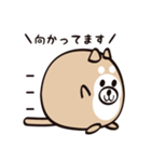 まるいぬくん（個別スタンプ：16）