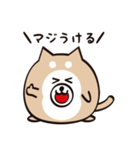まるいぬくん（個別スタンプ：19）