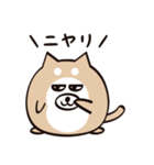 まるいぬくん（個別スタンプ：23）