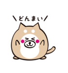 まるいぬくん（個別スタンプ：24）