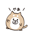 まるいぬくん（個別スタンプ：25）