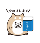 まるいぬくん（個別スタンプ：30）