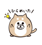 まるいぬくん（個別スタンプ：31）