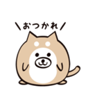 まるいぬくん（個別スタンプ：37）