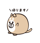 まるいぬくん（個別スタンプ：40）