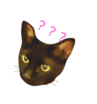 黒猫 maro（個別スタンプ：1）