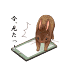Lovely rabbit sticker！5（個別スタンプ：6）