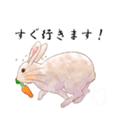Lovely rabbit sticker！5（個別スタンプ：10）