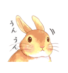 Lovely rabbit sticker！5（個別スタンプ：13）