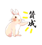 Lovely rabbit sticker！5（個別スタンプ：14）