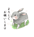 Lovely rabbit sticker！5（個別スタンプ：16）