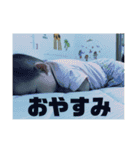Baby's12（個別スタンプ：10）