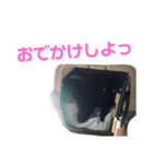 三毛猫みーにゃんと黒猫しょこ（個別スタンプ：7）