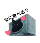 三毛猫みーにゃんと黒猫しょこ（個別スタンプ：8）