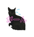 三毛猫みーにゃんと黒猫しょこ（個別スタンプ：21）