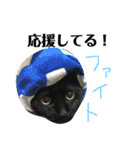 三毛猫みーにゃんと黒猫しょこ（個別スタンプ：34）