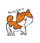 みゃーくんスタンプ（手書きイラストVer.)（個別スタンプ：1）